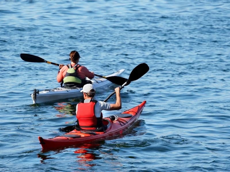 Single Kayak